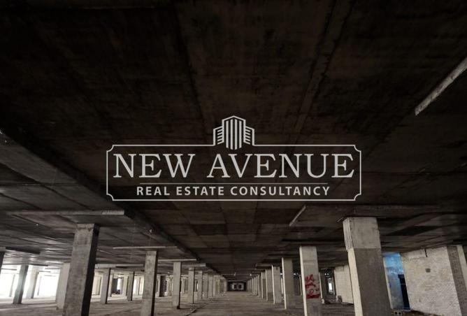 56500660 - Property Image 3