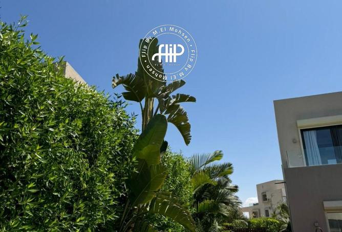 87206548 - صورة العقار 3