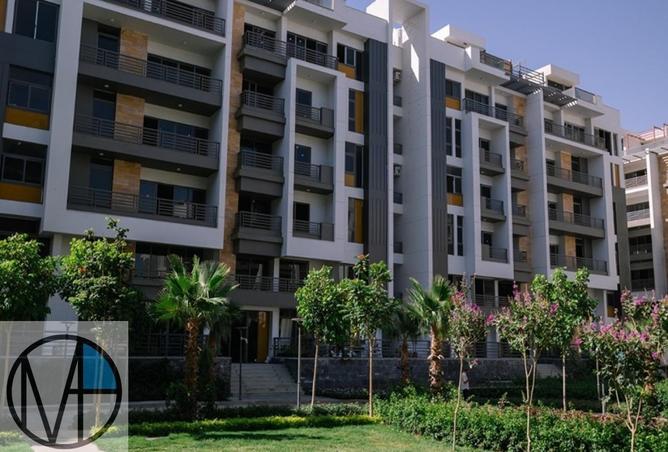 66172480 - Property Image 3