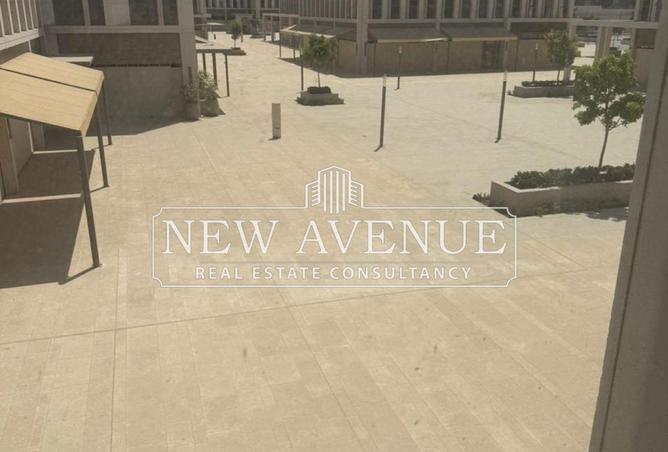 53722779 - Property Image 3