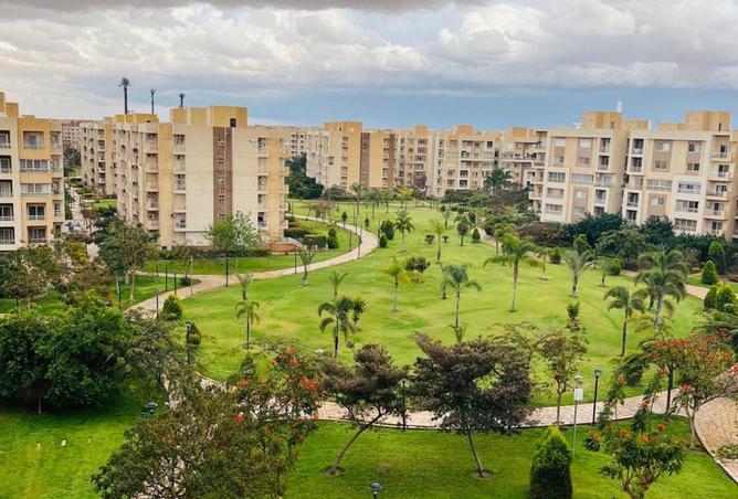 80782122 - صورة العقار 3