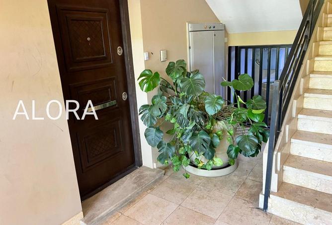101204923 - Property Image 3