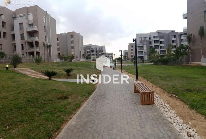 67741681 - Property Image 3