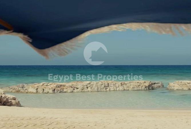 8587706 - Property Image 2