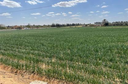 Land - Studio for sale in 6 October City - Giza