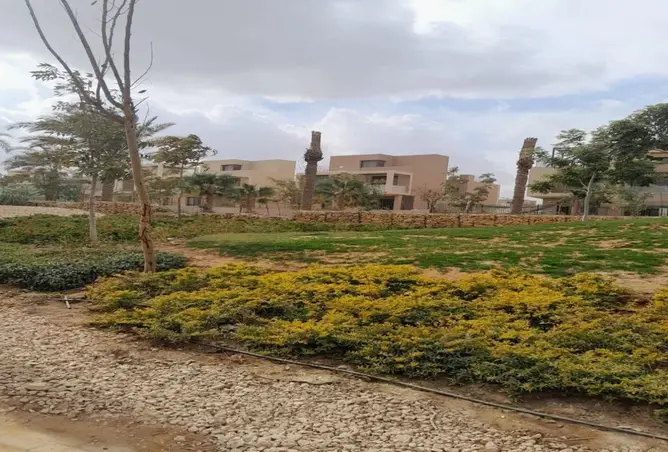 115169418 - صورة العقار 3