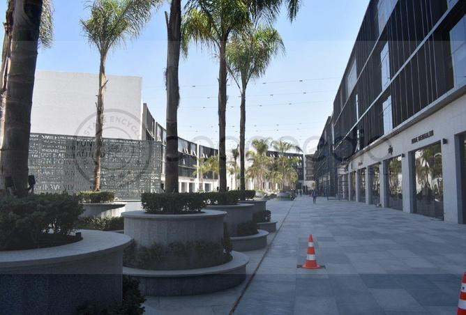 63133829 - Property Image 2