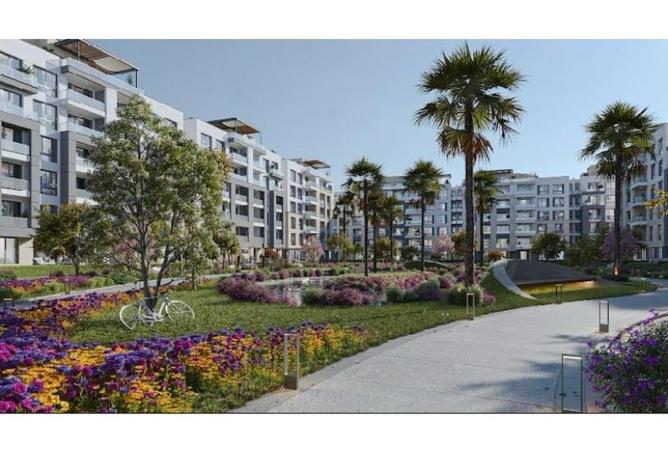 52186702 - Property Image 3