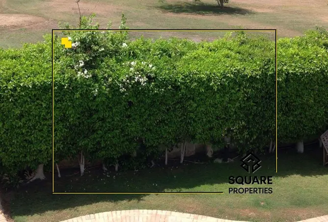 113246889 - صورة العقار 2