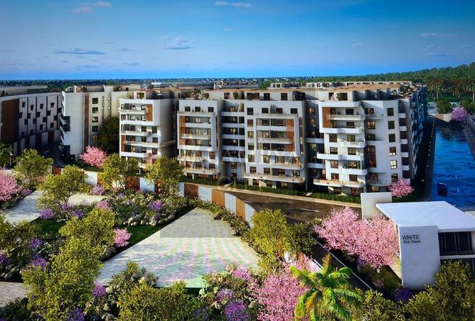 56241046 - Property Image 2