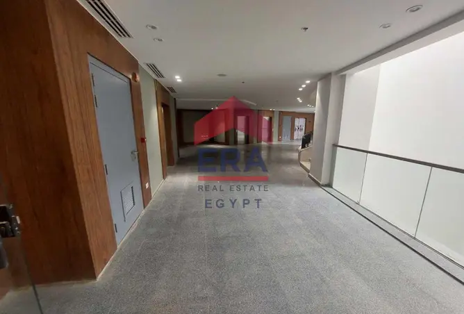 113531078 - Property Image 2