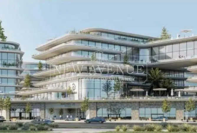 110467790 - Property Image 3