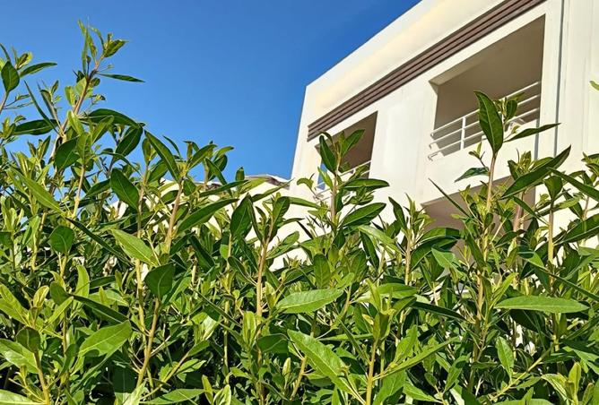96862099 - صورة العقار 2