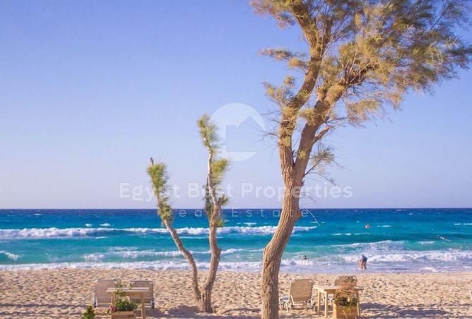 71653154 - صورة العقار 2