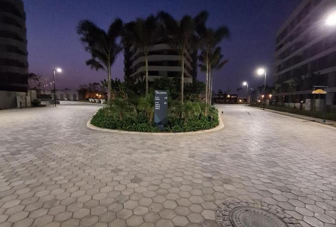 64650885 - Property Image 3