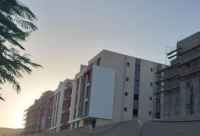 79994214 - صورة العقار 3