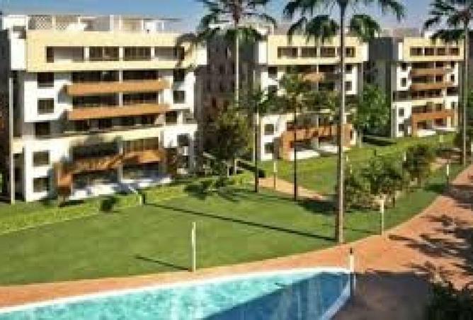 61207009 - Property Image 3