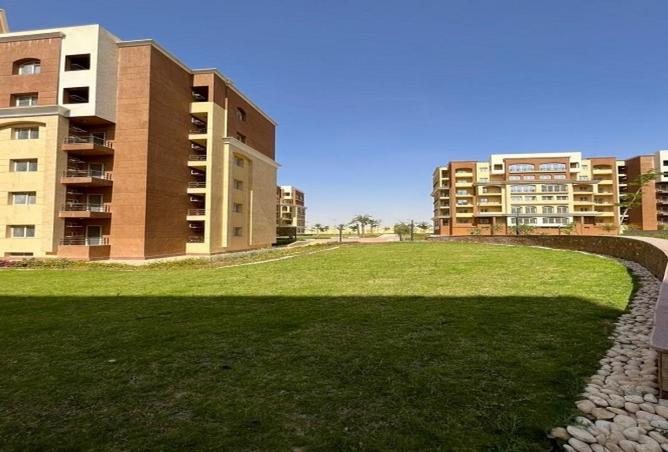 79980173 - Property Image 3