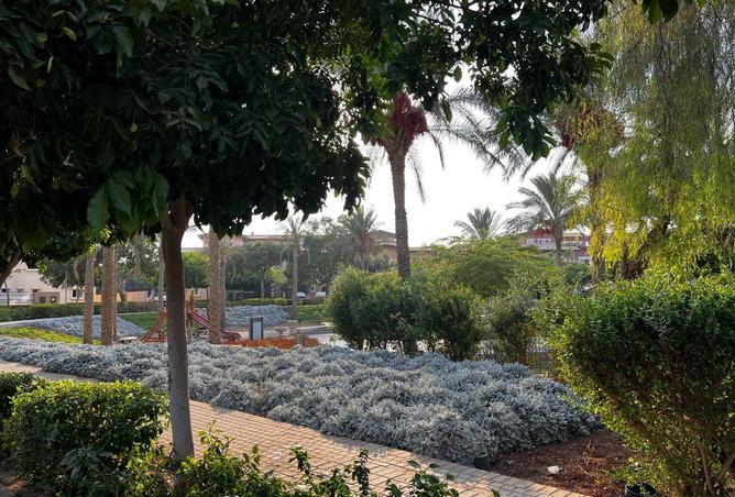 54749595 - الصورة الرئيسية للعقار