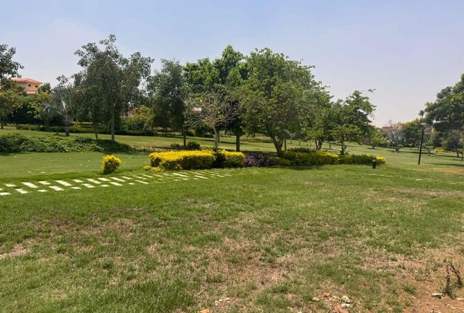 55002561 - صورة العقار 2