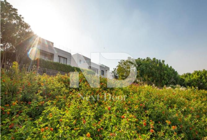 57996453 - صورة العقار 2