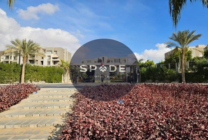 55498400 - Property Image 3