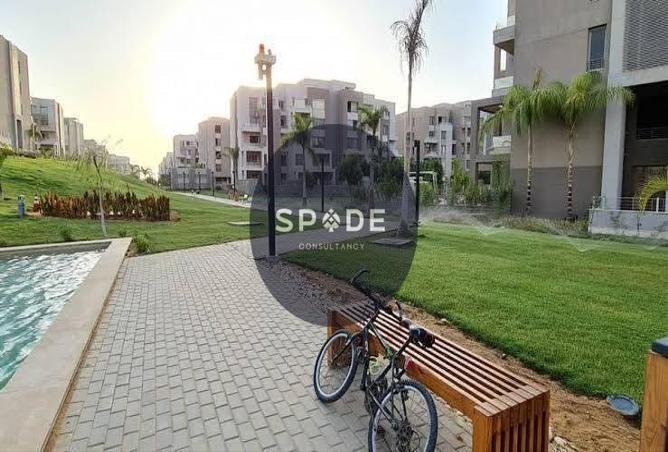 55498400 - Property Main Image