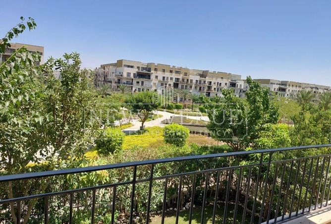 97135401 - Property Image 3