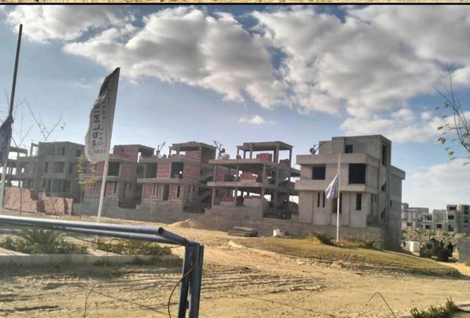 55993537 - صورة العقار 3