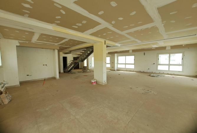 72179723 - Property Image 3