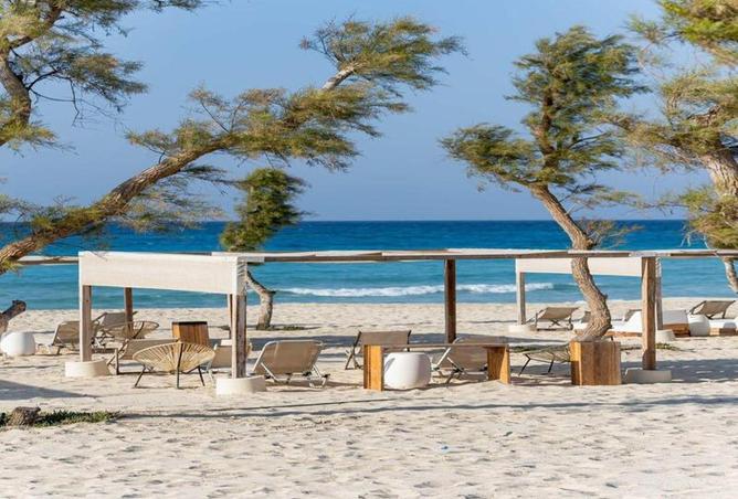 68532533 - صورة العقار 3