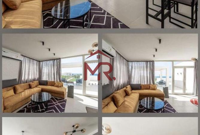 67742266 - صورة العقار 3