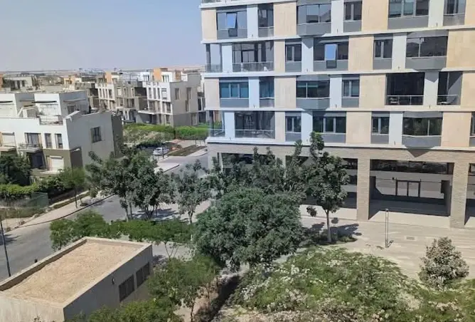 117525417 - صورة العقار 3