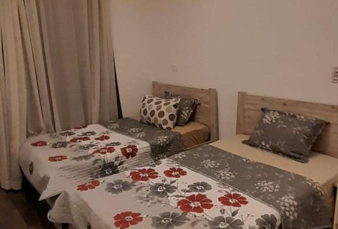 58002206 - صورة العقار 3