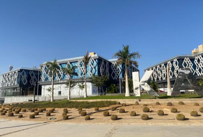 8532475 - صورة العقار 2