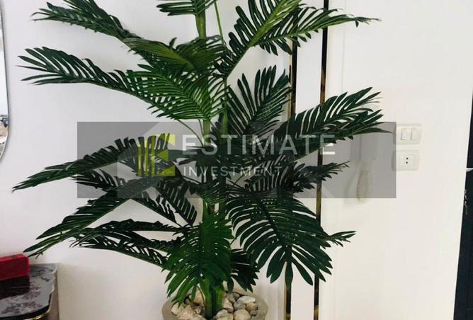 101200031 - Property Image 3