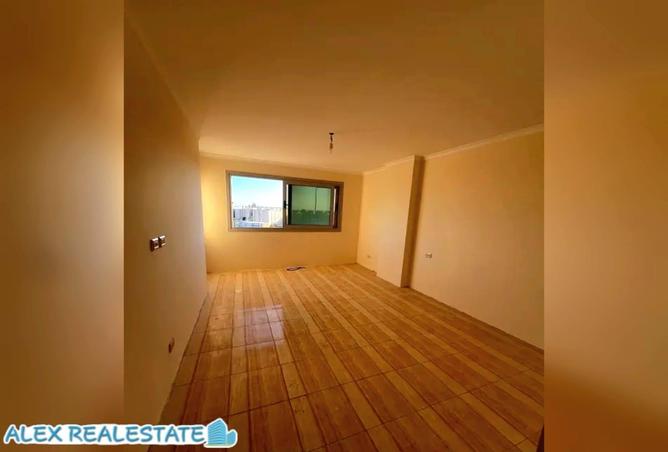 56240589 - Property Image 2