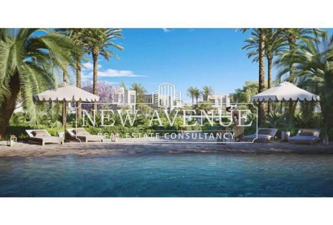 63135489 - Property Image 3