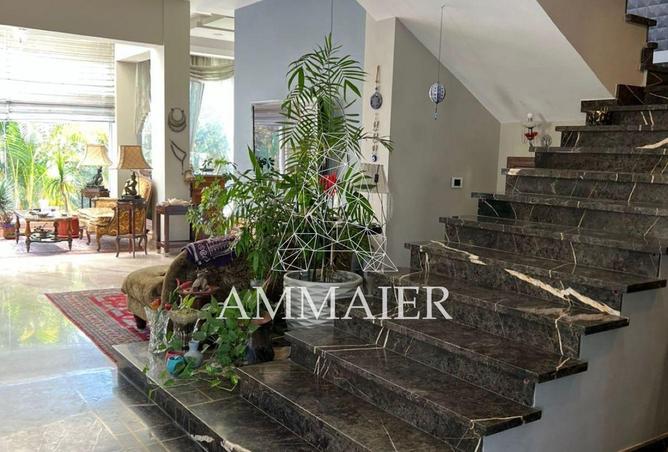 53726666 - صورة العقار 2