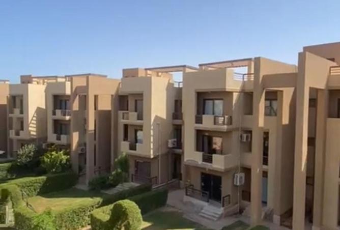 8421357 - Property Image 2