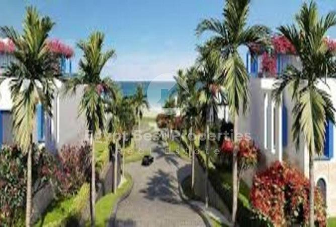 56505594 - صورة العقار 2