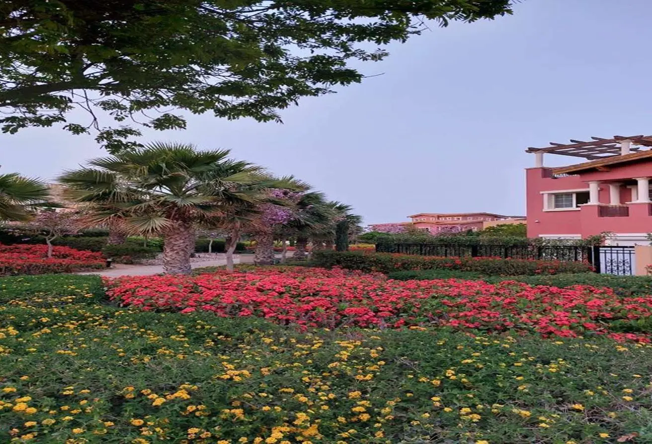 116489387 - الصورة الرئيسية للعقار