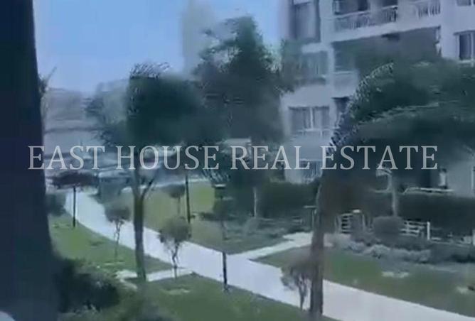 66963651 - Property Main Image