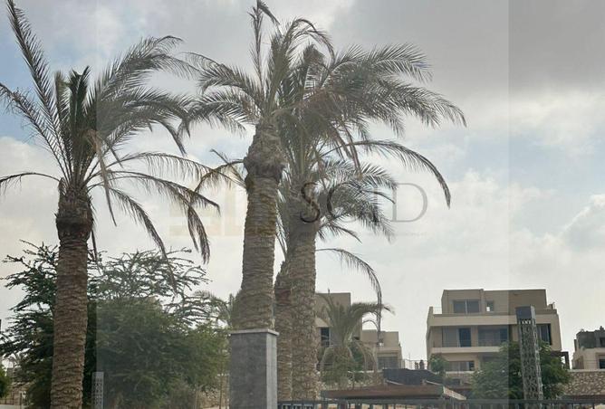 101206205 - صورة العقار 3