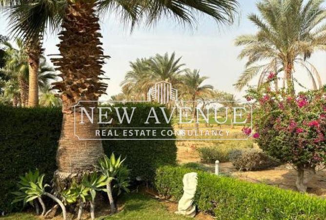 66177432 - صورة العقار 3