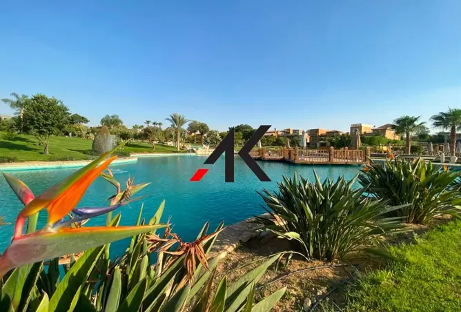 113245854 - Property Image 3