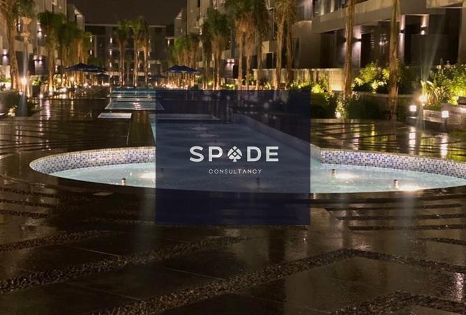 8553742 - Property Image 3