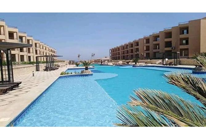 99115807 - صورة العقار 2