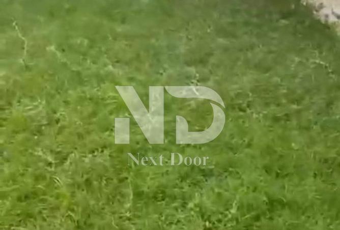 8525288 - صورة العقار 3