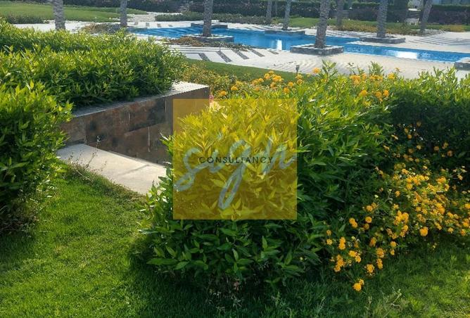 62406624 - صورة العقار 2